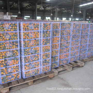 Regular Supplier for Fresh Baby Mandarin Orange